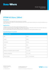 Sure-White mastic 290 ml - FT